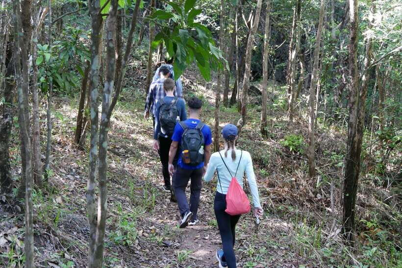Hoi An: Amazing My Son Sanctuary and Mountain Trekking - Breakfast and Coffee Break Around 8:00