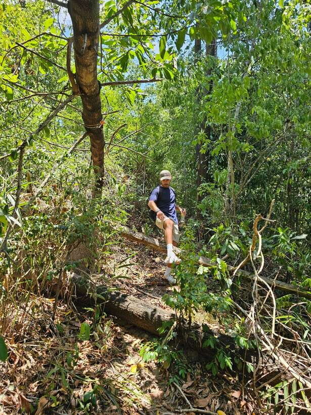 Hoi An: Amazing My Son Sanctuary and Mountain Trekking - Wildlife, Streams, and the Quiet Parts of the Hills