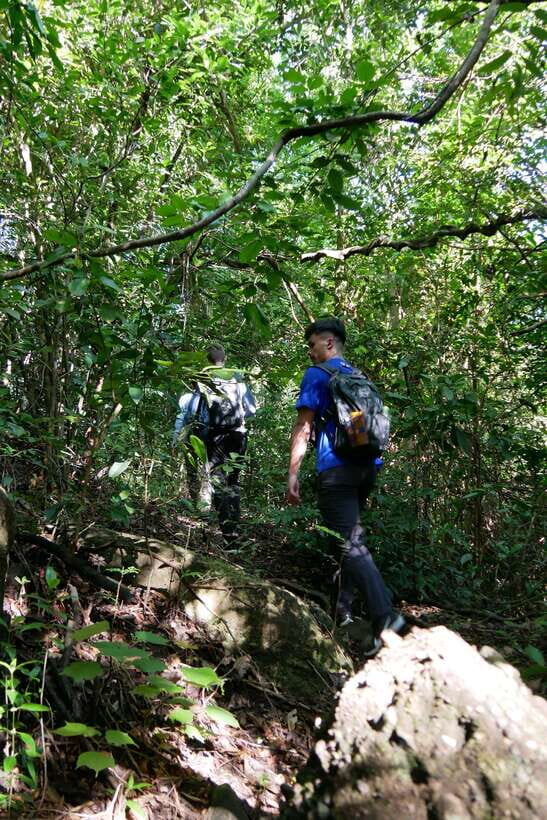 Hoi An: Amazing My Son Sanctuary and Mountain Trekking - What to Wear: Long Clothes Are Not Optional Here