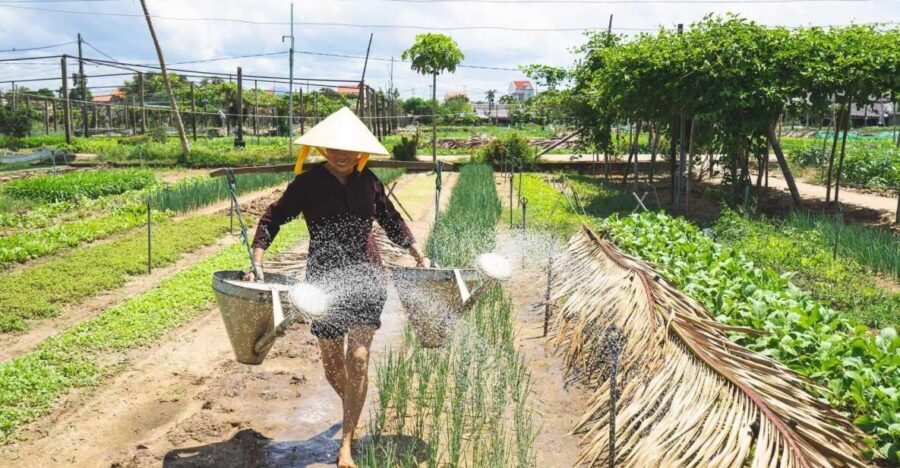 Hoi An: Authentic Cooking class in organic Herb Village - Key Highlights Worth Your Time