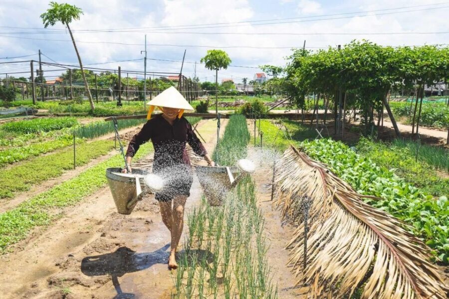Hoi An: Authentic Cooking class in organic Herb Village - Tra Que Herb Village: A Quiet Place Built on Manual Growing