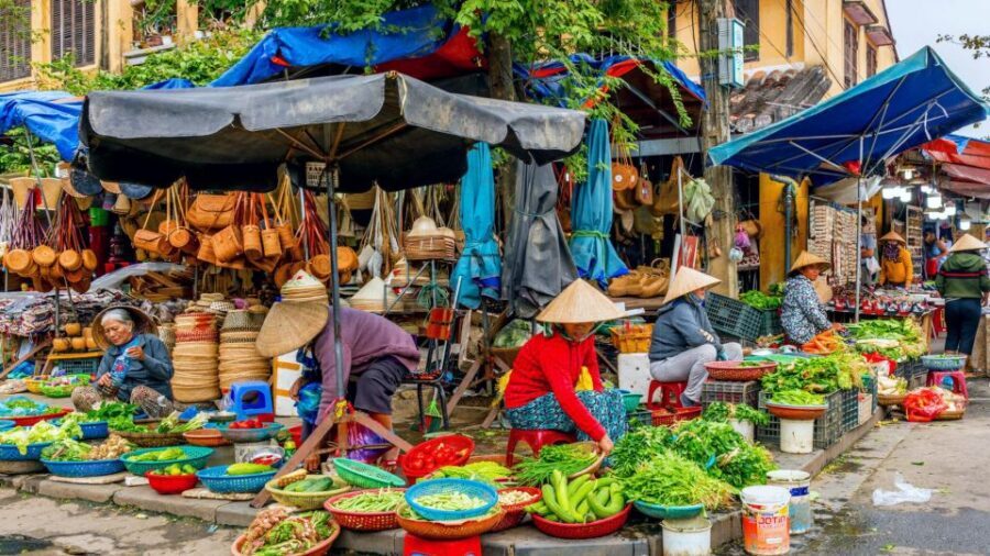 Hoi An: Authentic Cooking class in organic Herb Village - The 20-Minute Bike Ride Through Rice Country