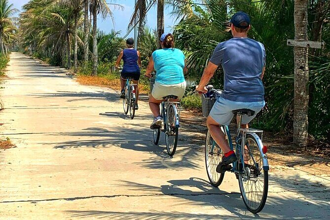 Hoi An bicycle tour to beautiful countryside - Rice fields and wildlife: ducks, cows, birds, and water buffalo