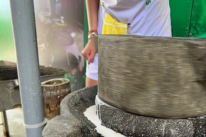 Hoi An cooking class with Basket Boat Tour - Pickup and timing: where logistics can make or break the afternoon