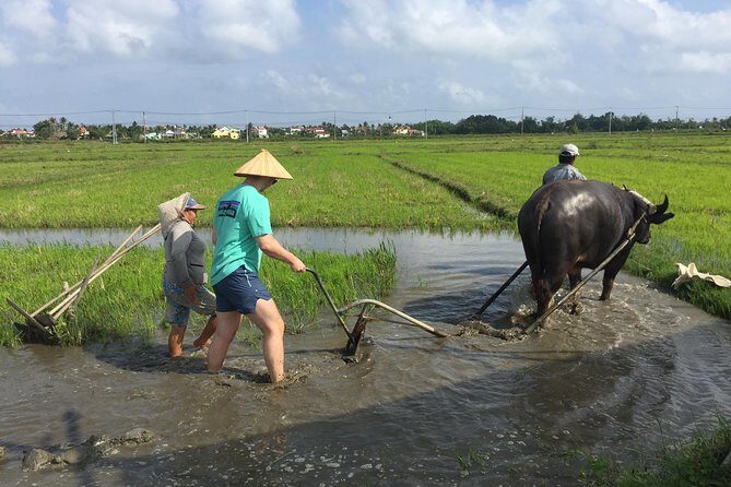 Hoi An Countrylife Tour Experience & Vietnamese Set Menu - Key highlights
