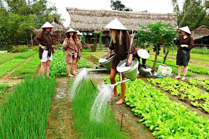 Hoi An Countrylife Tour Experience & Vietnamese Set Menu - A Country Day in Hoi An: Pottery, Veg Gardens, and Rice Paddies