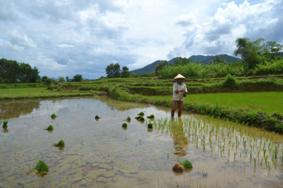 Hoi An Countryside Bicycle Tour : 25 Km Real Vietnam - Arriving at 61 Ngo Quyen and rolling out at 8:00