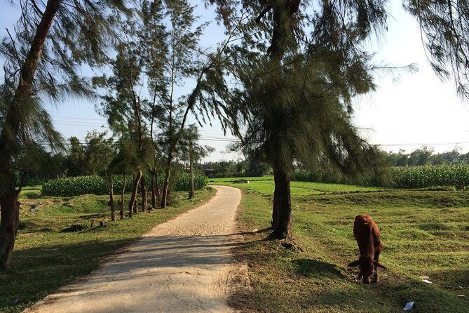 Hoi An Countryside bike tour to Kim Bong village - Lunch and Quang noodles: eating where the day is happening
