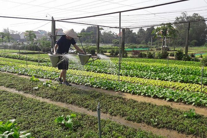 Hoi An Countryside Biking Tour(Vegetable village -basket boat - fishing village) - Price And Value: What $45 Buys In Practical Terms