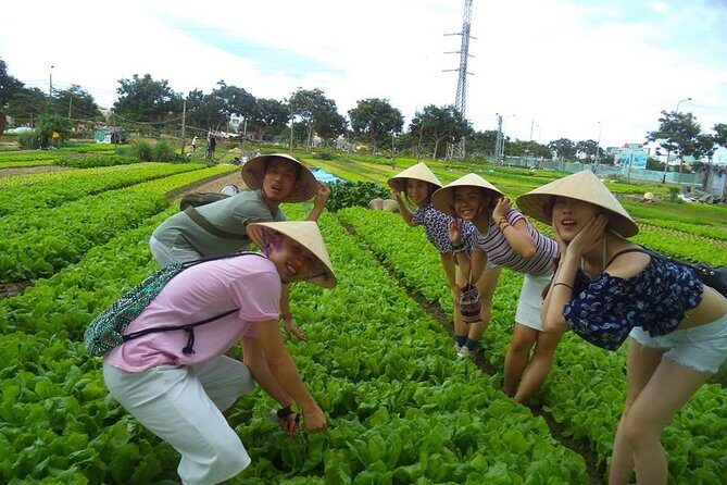 Hoi An Countryside - Buffalo Riding - Basket Boat Rowing - Stop 1: Tra Que Vegetable Village and the calm of farm work