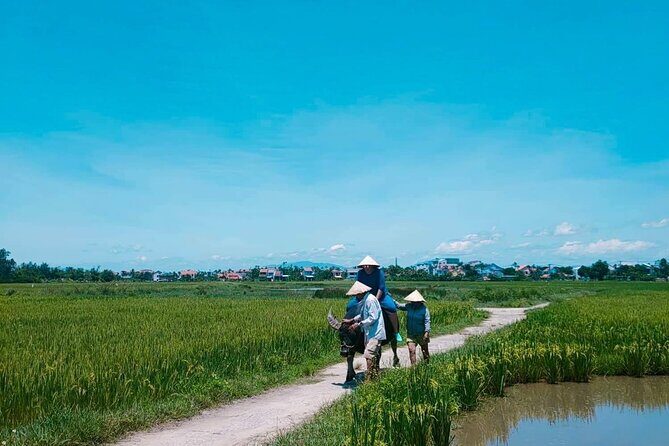 Hoi An Countryside - Buffalo Riding - Basket Boat Rowing - Fishing practice and traditional techniques: how to get the most out of it