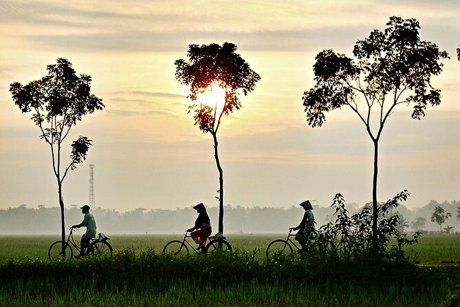 Hoi An Countryside By Bike - A quick taste of the Old Town before you head for the villages