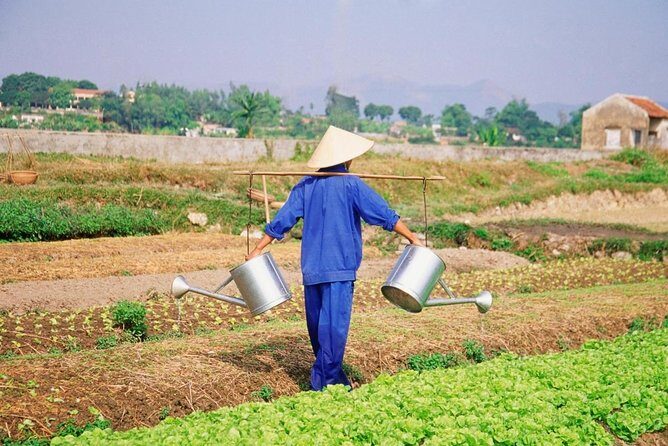 Hoi An countryside cycling tour - Key highlights I’d focus on