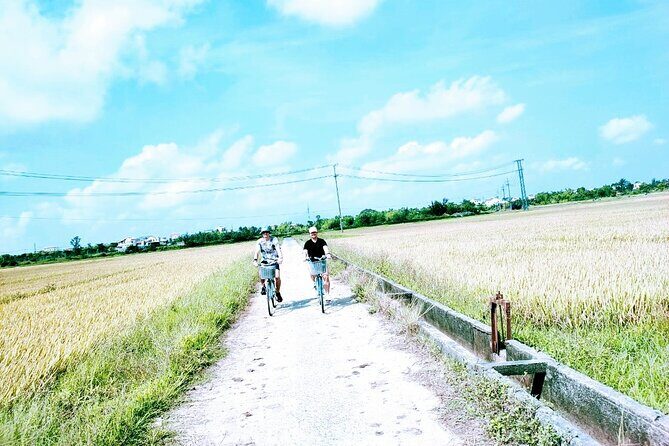 Hoi An countryside cycling tour - Shrimp farms and rice fields: the working countryside you actually want