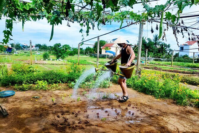 Hoi An countryside cycling tour - Tra Que Vegetable Village: where “countryside” becomes real work