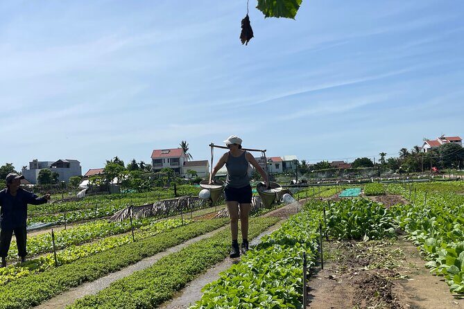 Hoi An countryside cycling Tour,Basket Boat-organic farming-lunch - Price and value: why $37 feels fair for 4.5 hours