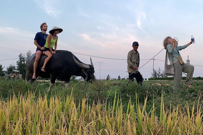 Hoi An Countryside PRIVATE TOUR - Highlights and Hidden Gems - Cam Chau buffalo fields: short ride, big memory