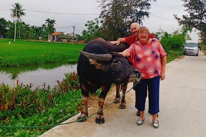 Hoi An Countryside Tour with Bamboo Basket Boat Rowing , Buffalo Ride, Farming - Morning at 8:30 vs afternoon at 2:00