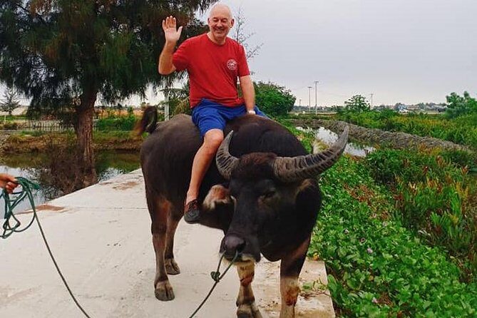 Hoi An Countryside Tour with Bamboo Basket Boat Rowing , Buffalo Ride, Farming - Tra Que farm time: soil, seaweed fertilizer, and traditional watering