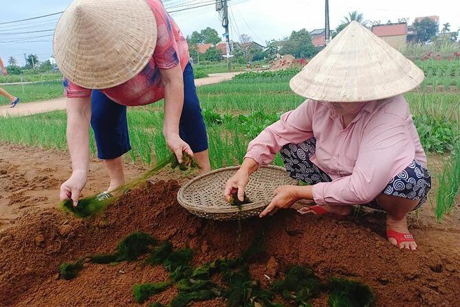 Hoi An Countryside Tour with Bamboo Basket Boat Rowing , Buffalo Ride, Farming - Basket boat in the water coconut jungle: slow, skill-based, and fun