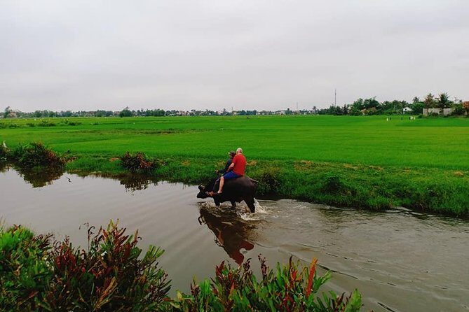 Hoi An Countryside Tour with Bamboo Basket Boat Rowing , Buffalo Ride, Farming - Thanh Ha pottery village: make a teacup or vase and sign it