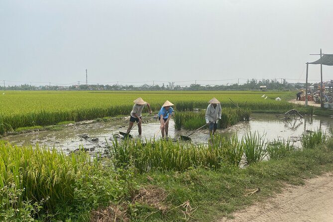 Hoi An Countryside Vespa Tour: Food, Culture & Daily Life - Dinner or Lunch at an Old Town Bistro and Other Local-Style Meals