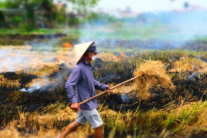 Hoi An Countryside Vespa Tour: Food, Culture & Daily Life - Who This Vespa Countryside Tour Fits Best