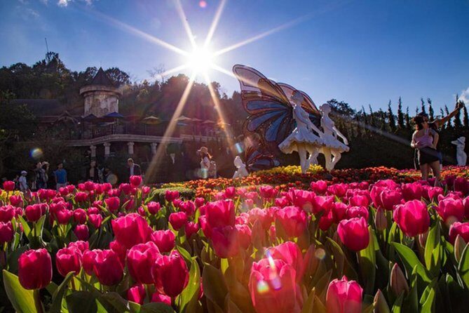 Hoi An/ Da Nang - Ba Na Hills - Golden Bridge Deluxe Small group - The cable car ride: why it’s the real start of the day