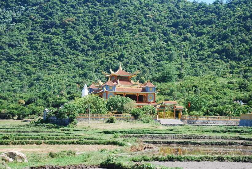 Hoi An/ Da Nang: Cham Island Discovery Tour - Should you book this tour?