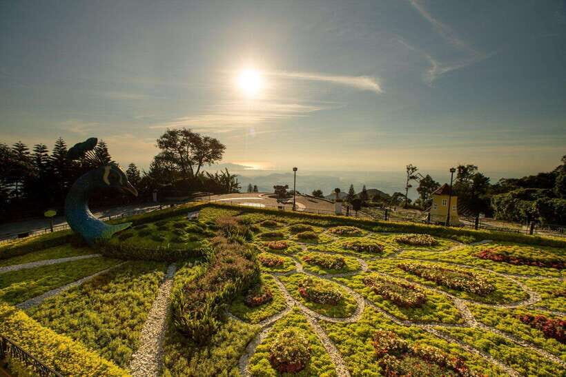 Hoi An/Da Nang: Golden Bridge and Ba Na Hill Tour - Fantasy Park and King Peak: your free-time plan