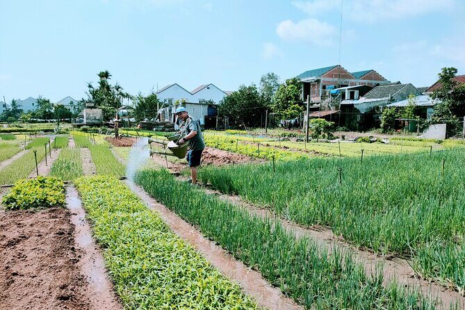 Hoi An Eco-Biking Tour - Pace, comfort, and who should book (and who should skip)