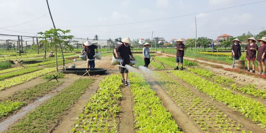 Hoi An: Evening Cooking Class with Locals in Herbs Village - Who Should Book This Hoi An Evening Cooking Class
