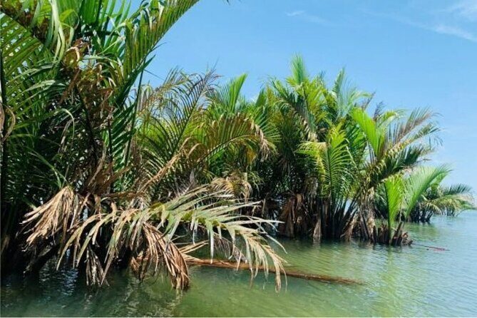 Hoi An Farming And Fishing Life - Getting to Tra Que: pickup and an easy bike start