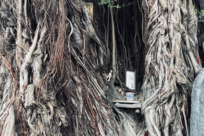 Hoi An Ghosts, Death, Mystery Unveiled - Stop-by-stop: what you’ll see as the town gets quieter