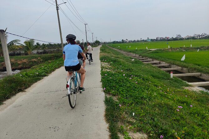 Hoi An Half-Day Bicycle Tour: Visit Herb Village, Row Basket Boat - Key highlights at a glance