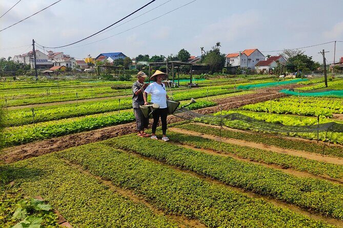 Hoi An Half-Day Bicycle Tour: Visit Herb Village, Row Basket Boat - The morning ride: 8:00 a.m. start and how the timing works