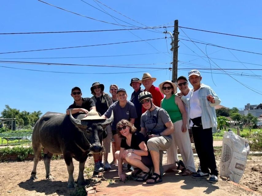 Hoi An: Half-Day Countryside Tour by Motorbike - Price and Value: What $50 Really Covers