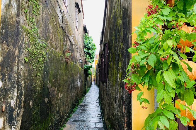 Hoi An: Half-day Hoi An Heritage Walk - How the Tour’s Half-Day Format Fits Real Schedules