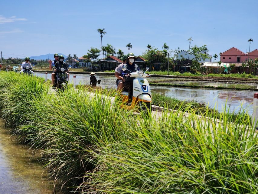 Hoi An Highlights and Hidden Gems Tour by Vespa - Returning to the Center: Finish with Stories, Not Stress