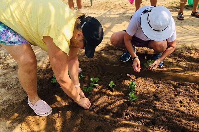 Hoi An Local Market and Vegetable Village Cooking Class - Hoi An Market in 20 minutes: herbs, sellers, and what matters