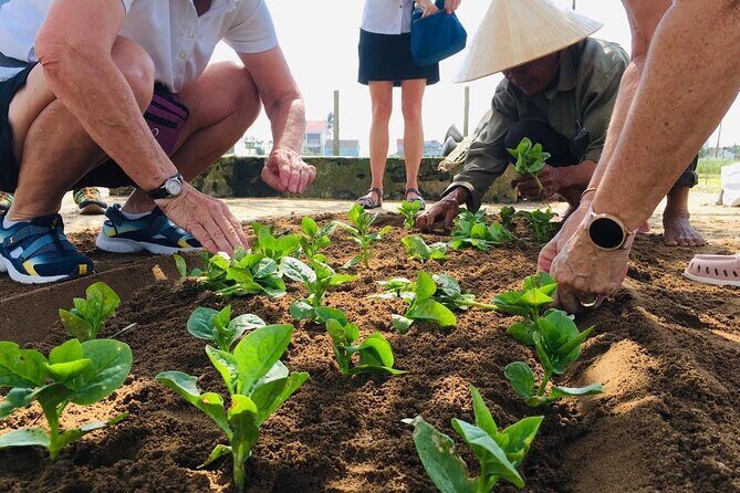 Hoi An Local Market and Vegetable Village Cooking Class - Tra Que Vegetable Village: organic beds and herb lessons