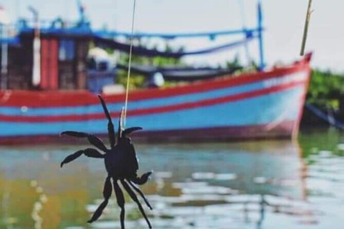 Hoi An: Market Visit, Basket Boat Ride, and Cooking Class - Why This Hoi An Half-Day Mix Works for Real Life