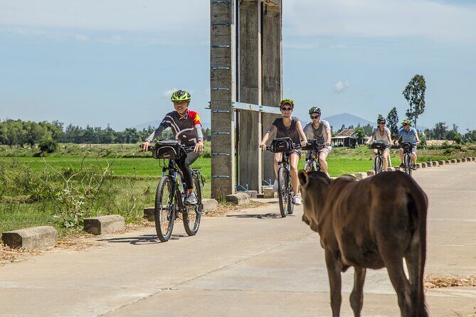 Hoi An: Morning Countryside Tour by Bike - Key highlights you’ll actually care about