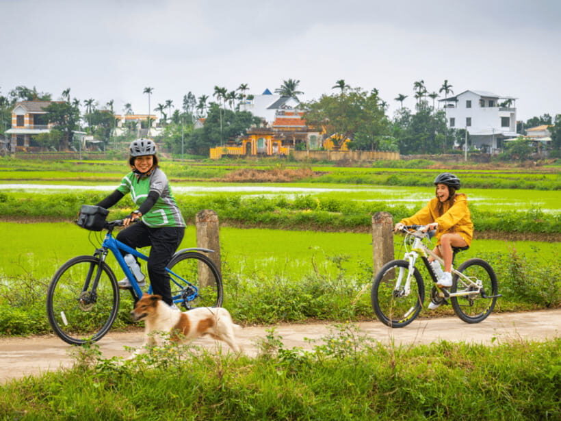 Hoi An: Morning Countryside Tour by Bike - What It Costs and What You Really Get for $29