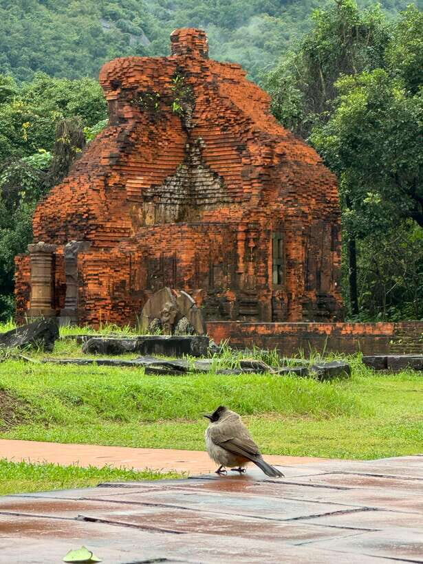 Hoi An: My Son Sanctuary Private Tour with Local Guide - Key things I’d circle before you book