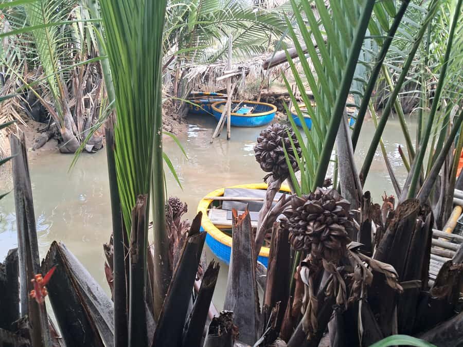 Hoi An: My Son Sanctuary with Basket Boat and Lunch Options - Rice paper making: a small workshop with real payoff