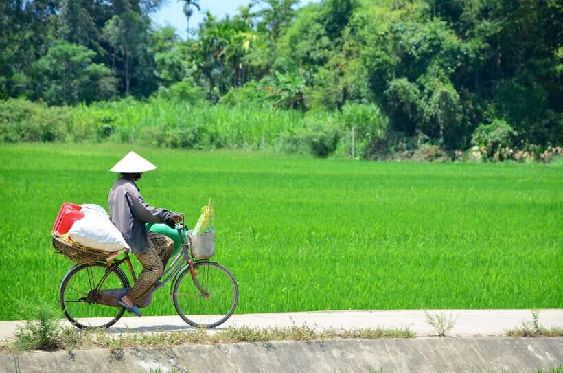 Hoi An: Private Cycling to My Son Sanctuary with Local Guide - Quiet lanes to river crossing: the shift from town to countryside