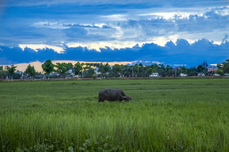 Hoi An: Private Evening Food Tour by Bike - The ride itself: 15 kilometers, private pacing, and comfort tips