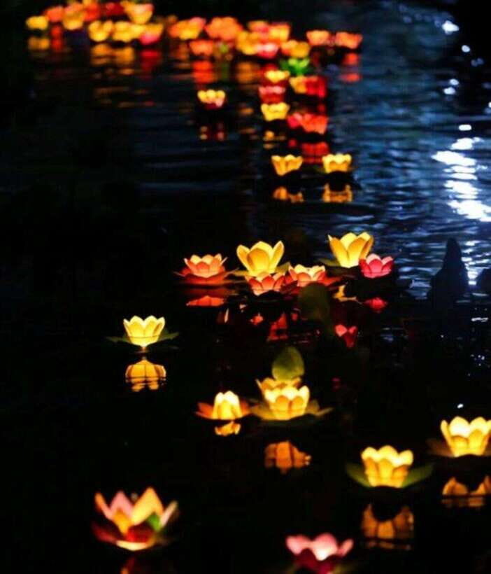 Hoi An: Private night boat Trip & release lantern on river - What you get for $8: private boat, lantern, and an English guide