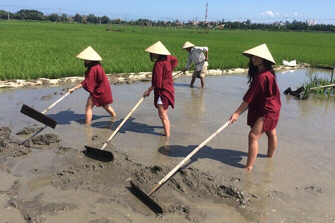 Hoi An Rice Farm Tour and Buffalo Riding with Local Home Meal - Key highlights you’ll care about